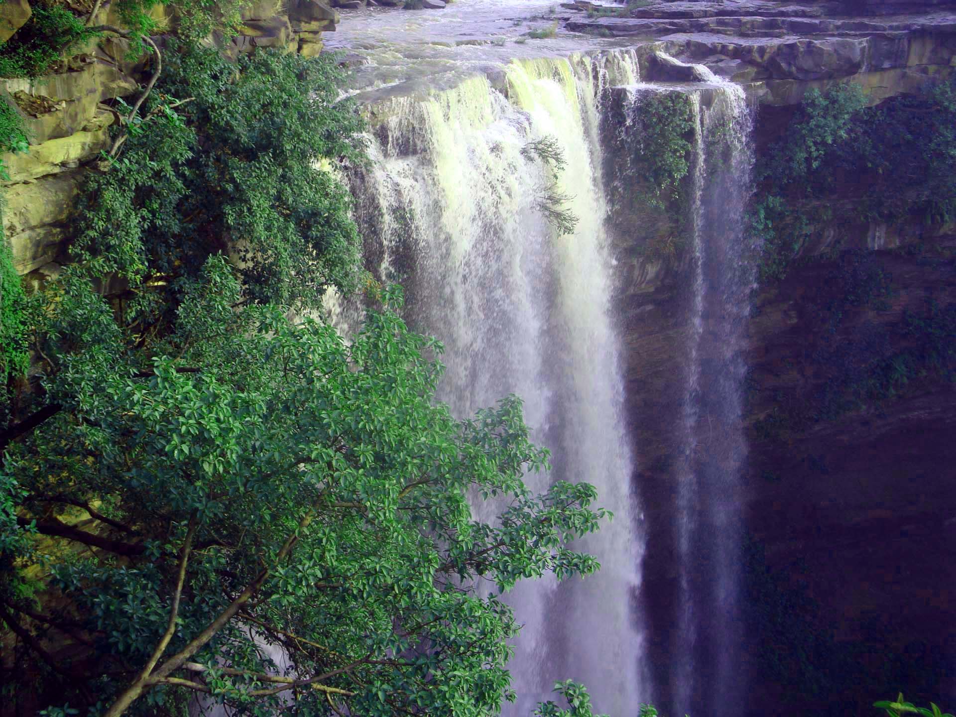 Royal Hadoti Travels